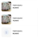 하대막썰어횟집