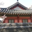 마안골마을회관 | 공공한옥 밤마실 완벽 안내서!