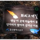 솔마루길 신선산 이미지