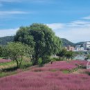 낙동강변1 이미지