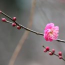 금전사 티스토리