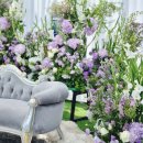 디바인밸리 이미지