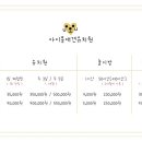 아이몽 애견 유치원 이미지