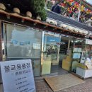 🪷부산 해동용궁사 방문기｜시장통 속 평온 찾기? 가족과 함께 바닷가 절 산책 🌅