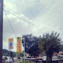 장동감나무보리밥 이미지