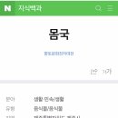 제주바닷마을다이어리
