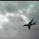 보잉 737 맥스 비행기 추락 영상 이미지