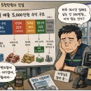 월 매출 5천만원에 점주 손에 300만원