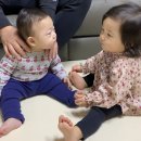 하린통닭 이미지