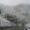 우리집빙고