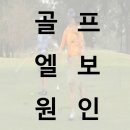 골프앤조이 이미지