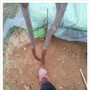 나무한그루 이미지