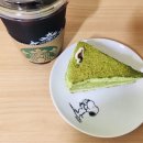 성포라성약국 이미지