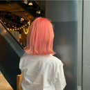 유림팔레트