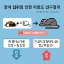 비티나인 이미지