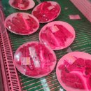 [안성맛집] 고기질부터 반찬까지 완벽한 안성 한우맛집, &#34;한우암소정육식당&#34; 후기