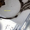 크레를찾아서 | 10년 가까이 입증된 크레의 탈수 및 신경마비 관련 응급치료 및 케어법안내