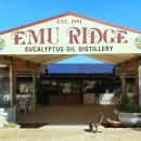 국립공원 홍보 아치 | 호주 애들레이드 캥거루 아일랜드 여행 가이드