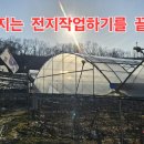 참숯먹인대추농원 전지작업 이미지