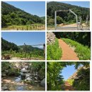 발산카라반
