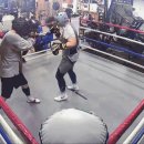 불스복싱 이미지