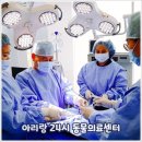 진안동물병원 네이버블로그