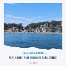 낙타와돌고래 이미지