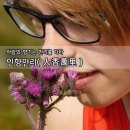 해인향기 이미지