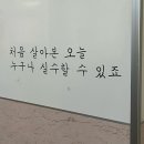 용정축구공원 | 이팝나무가 왜 이름이 이팝나무인지 아세요 ?