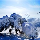 명산목장2 이미지