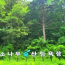 화진포호수 이미지