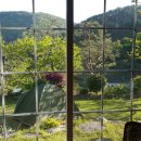 금창농장 이미지