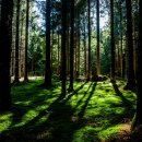 버스정류장 07-142 이미지