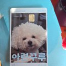 더펫(The Pet) | [신용카드 추천] 반려인 필수템! 병원비·사료값 아끼는 신한 The PET(더펫) 카드 솔직 후기