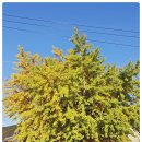 대율마을회관 이미지