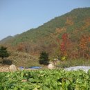그린빌펜션