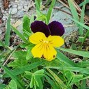 파이팅 당구장 이미지