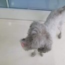 은혜주유소 이미지