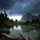 자연의꿈 이미지