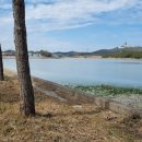 신동습지 이미지