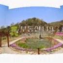 덕은로 이미지