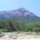 달바위농장 이미지