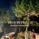 더본 | 내돈내산 양평 신상 캠핑장 더본 후기(2탄)