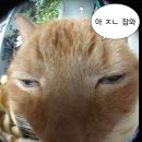 멍 & MoM 이미지