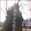[11월 21일(일요일)]전남 광주의 진산 무등산에 오르다 이미지
