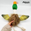 댕냥이 이미지