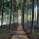 덕정리 티스토리