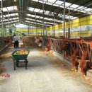 람세스한우농장 이미지