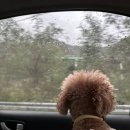 하늘아래별천지민박 이미지