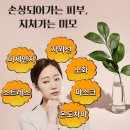 서울에스테틱